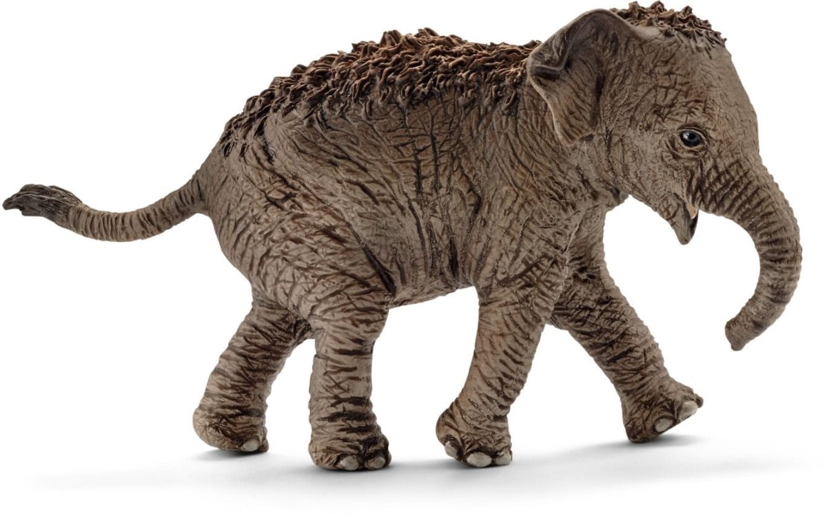 Schleich - Wild Life Asiatisches Elefantenbaby 14755