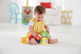 Fisher Price - Entdecker- und Stapelwürfel
