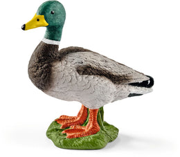 Schleich - Farm Life Erpel 13824