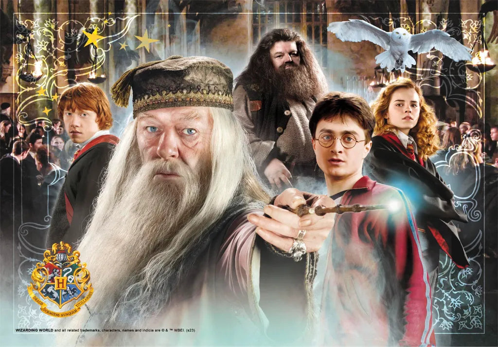 Harry Potter Puzzle 104 Teile – Supercolor Lernspaß